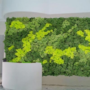 ARREDO NATURA - complementi d&#039;arredo, pareti vegetali stabilizzate, angoli di natura